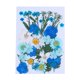 thumbnail image 1 of Artesanías de flores secas naturales Ramos en relieve Flores prensadas Decoraciones florales Decorativos para el hogar para tarjetas de boda Resina Vela azul floral Speravity HA010758-05, 1 of 7