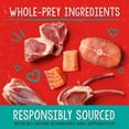 thumbnail image 6 of Dog Freeze Dried Surf & Turf Patties - 14 oz - 6/cs, 6 of 7
