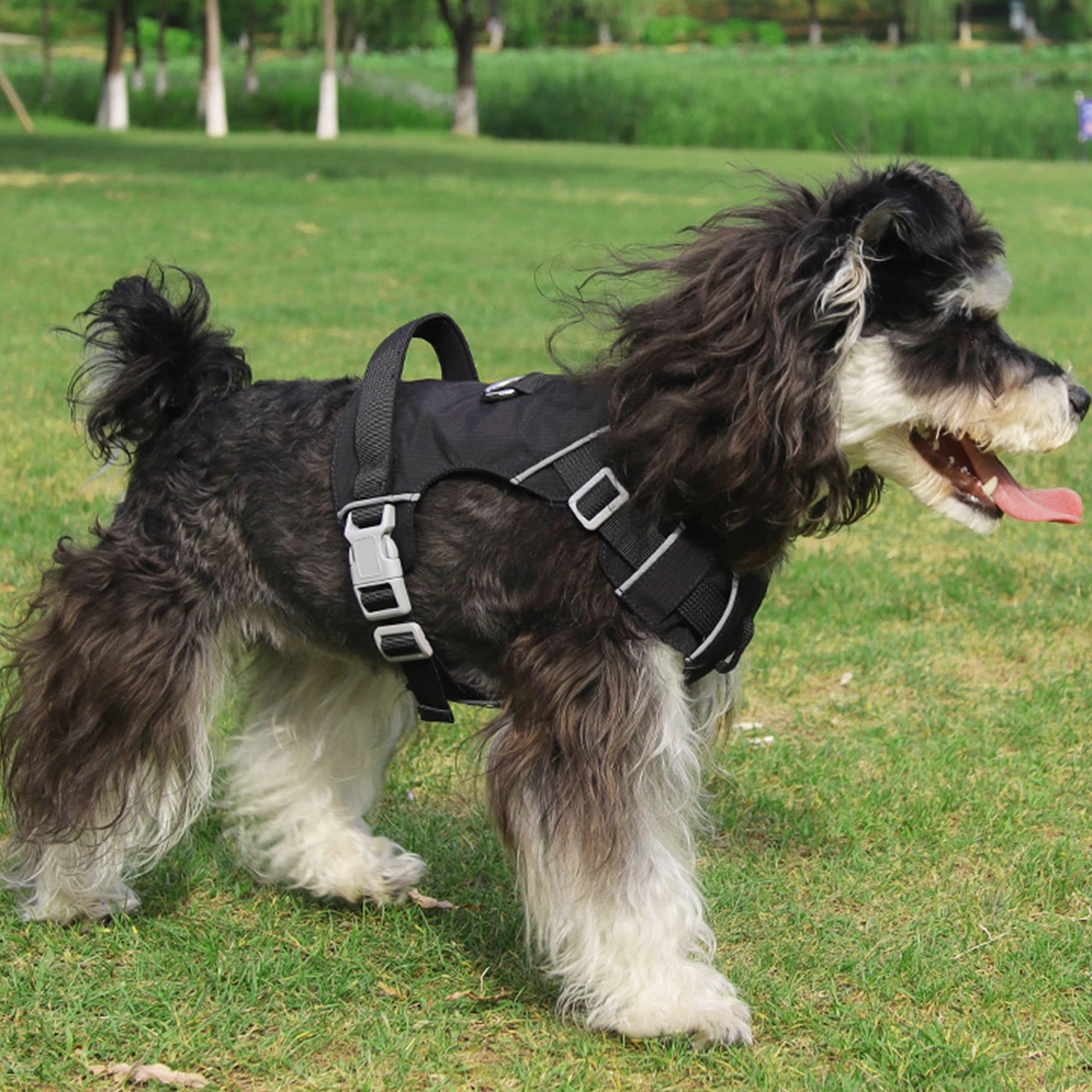 Mile High Life No Pull Dog Harness with Reflective Stripe, Adjustable Easy Get on Lightweight Harness for Small Medium Large Dogs Walking Running Training (Black, L Chest 21"-28")