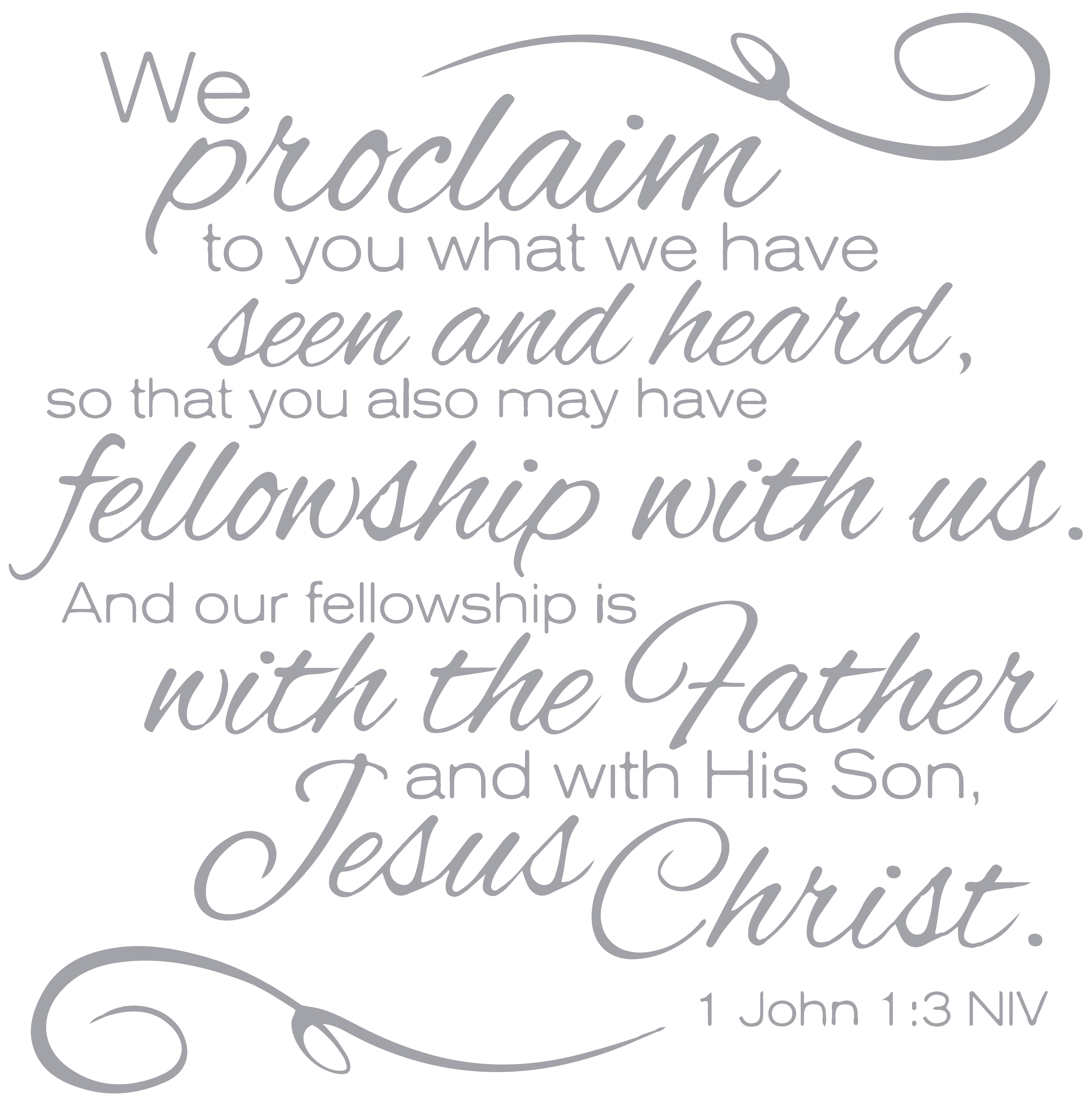 1 John 1 3 Niv We Proclaim To You What We Havea Vinyl Decal Sticker Quote Medium Metallic Silver Walmart Com Walmart Com