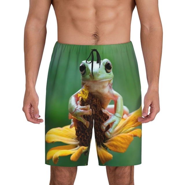 Fotbe Tree Frog Sitting On Sunflowes Pantalones Cortos de Pijama para Hombre, Ropa de Dormir, Pantalones de Pijama Cortos para Hombre-3X-Large