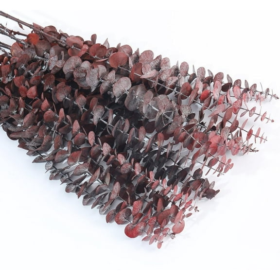 10 Pcs Dried Eucalyptus Stems, Natural Fresh Eucalyptus Leaves Branches Hanging for Shower, Preserved Real Red Eucalyptus Plant Live Greenery for Home SPA,Wall,Bathroom,Wedding Party(17 inch)