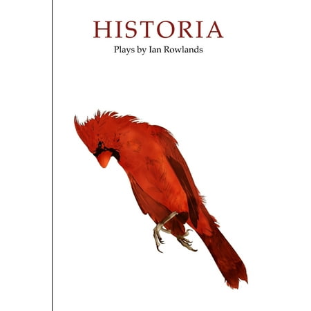 Historia (Paperback)