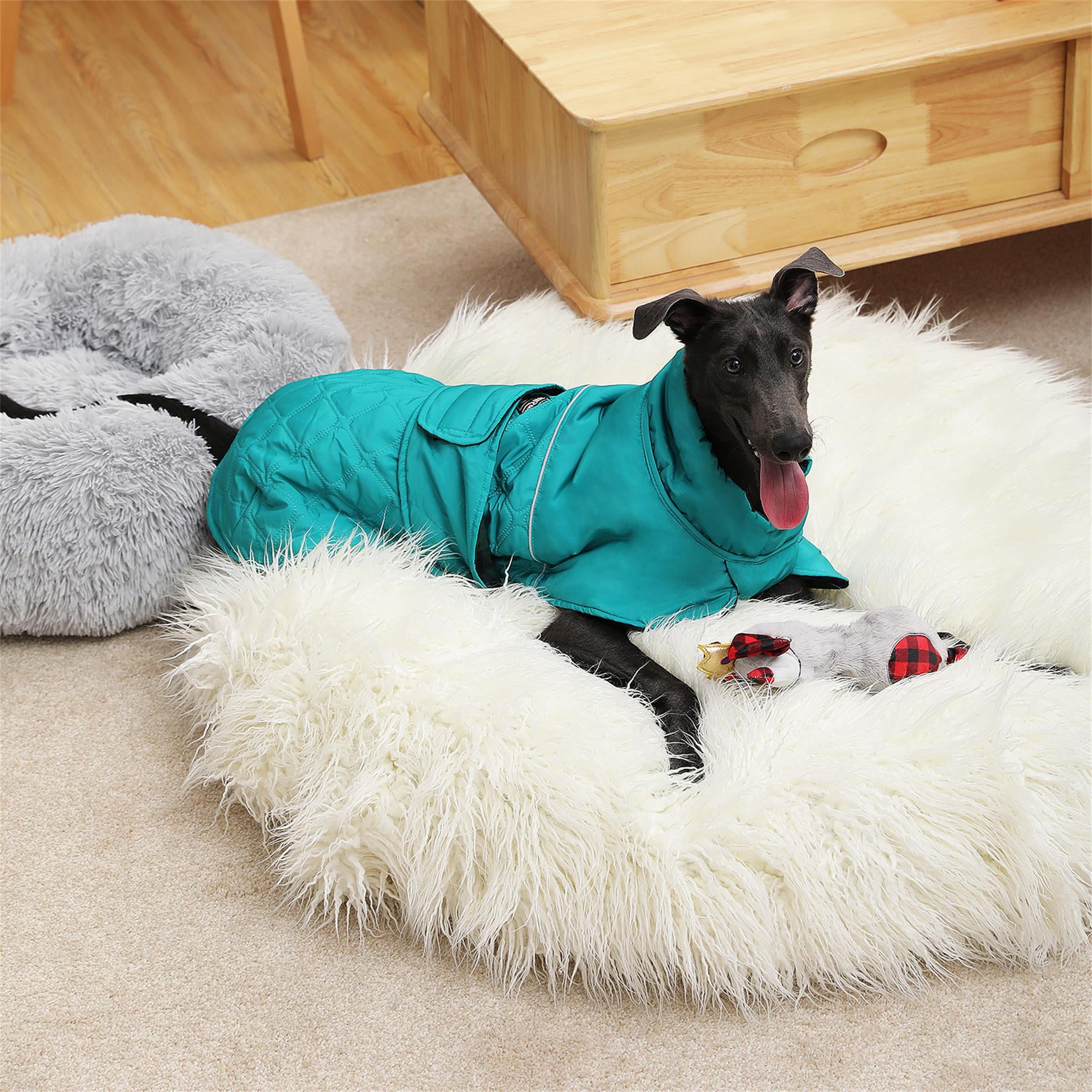 Kadyn Reversible Water Repellent Dog Jacket Pets Apparel Winter Warm Outdoor Sport Dog Coats for Winter Cold Weather Puppy Comfort Vest, Green 2XL Kadyn Reversible Water Repellent Dog Jacket Pets Apparel Winter Warm Outdoor Sport Dog Coats for Winter Cold Weather Puppy Comfort Vest, Green 2XL