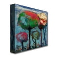 thumbnail image 4 of Trademark Fine Art "Niebla de Colores" Canvas Art by Boyer, 4 of 4