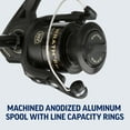 thumbnail image 2 of Carrete de pesca PENN Wrath II Saltwater Spinning, tamaño 3000, 2 of 3