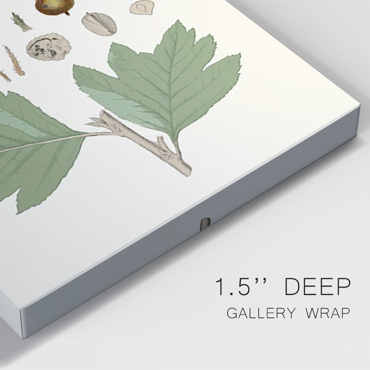 Leaves & Berries IV Premium Gallery Wrapped Canvas - Ready to Hang