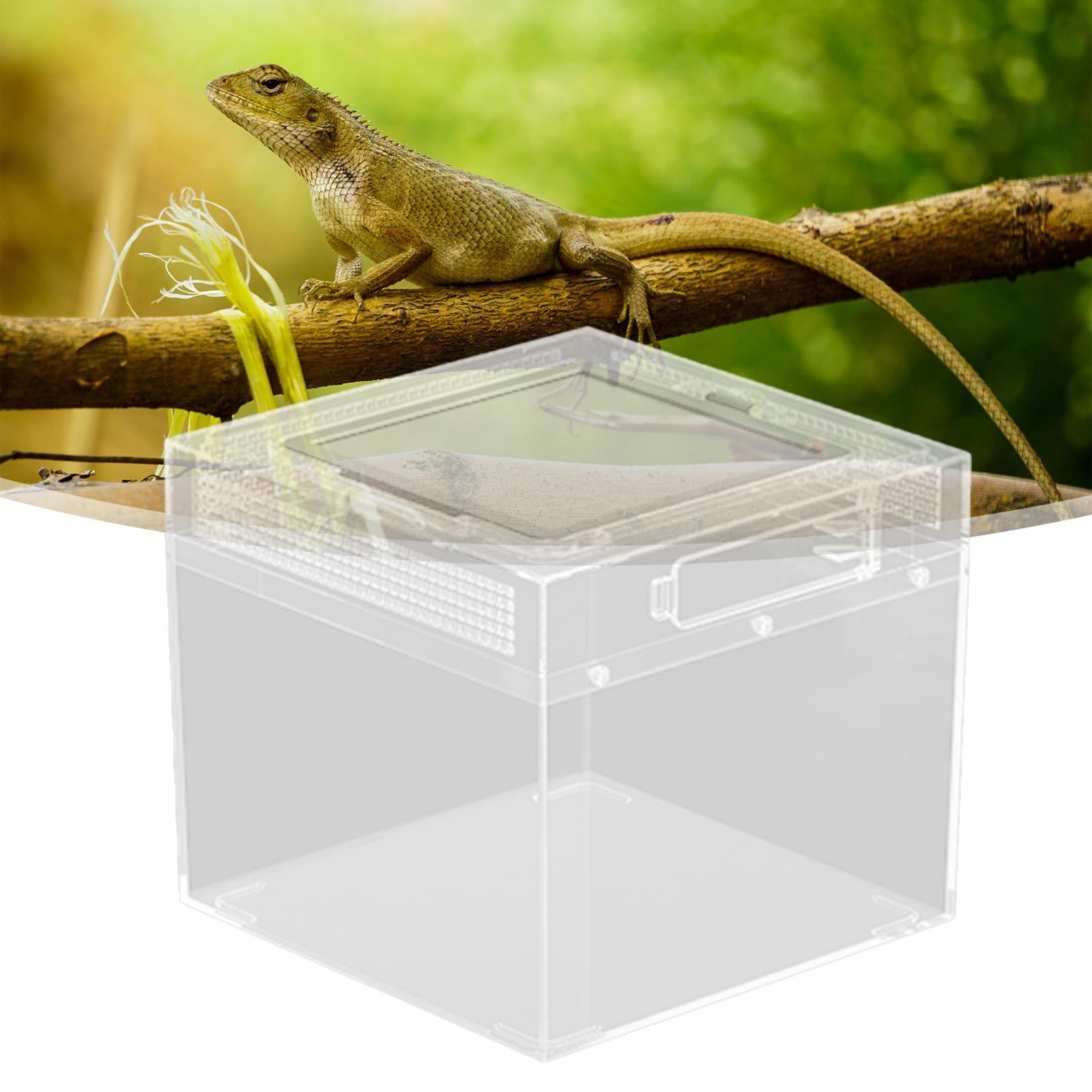 Bvdfgk Reptile Terrarium Clear Transparent Reptiles Cage for Frog Crayfish Tortoise M