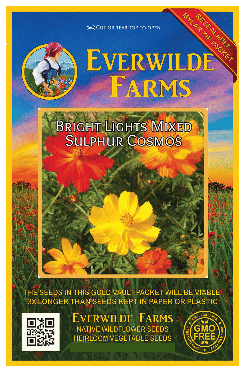 Everwilde Farms - 500 Bright Lights Mixed Sulphur Cosmos ...
