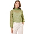 thumbnail image 1 of Blusas de manga larga de encaje para mujer Blusas florales elegantes con cuello con volantes Verde Claro2 XL, 1 of 5