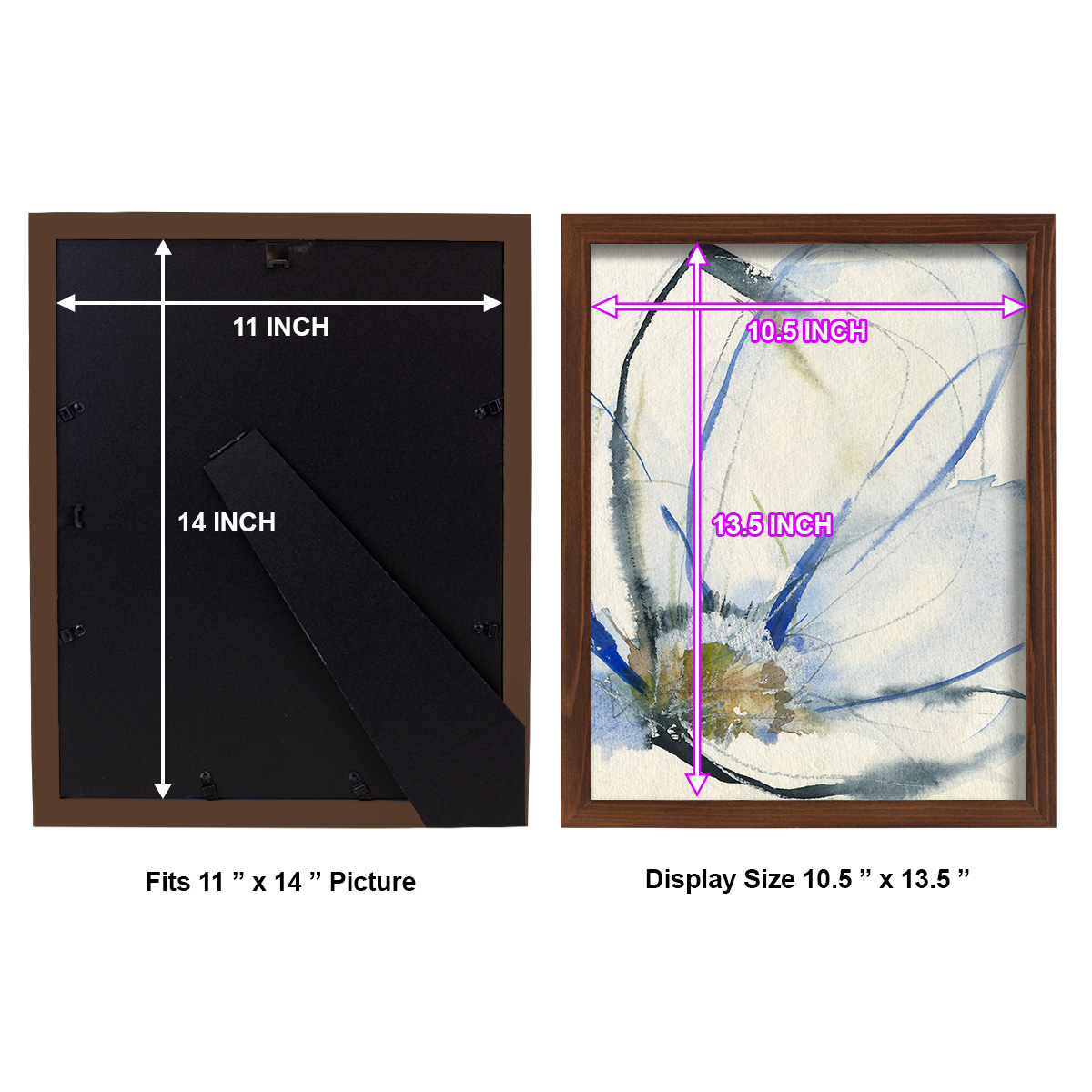 Cobalt & Paynes Petals II - Framed Print w/glass - Chestnut