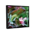 thumbnail image 3 of Stupell Industries Caterpillar Nature Photography Animals & Insects Photography Black Floater Framed Art Print Wall Art, 21 x 17, 3 of 9