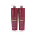 Ice Cream Color Perfect Shampoo and Conditioner, Ideal For All Colored