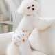 thumbnail image 4 of Mujer Hombre Perro Pañal Pantie Mascota Fisiológica M Yuyangstore pañales femeninos, 4 of 8