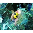 thumbnail image 3 of resqme Seatbelt Cutter and Window Glass Breaker 2 in 1 Quick Car Escape KeyChain Tool Yellow 5.3 by 8.3-Inch - Pack of 2, 3 of 3