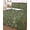 Green, variant on Quilt King Size Bedding Set, Japanese Reversible Summer Quilt 3 Pieces, Beige Farmhouse Retro Floral Leaf Pattern Lightweight Bedspreads Coverlets with 2 Pillow Shams for All Seasons