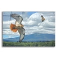 thumbnail image 1 of Epic Art 'Soaring Over the Pines - Red-tailed Hawks' by Mark Mueller Wildlife Art, Acrylic Glass Wall Art, 36"x24", 1 of 8