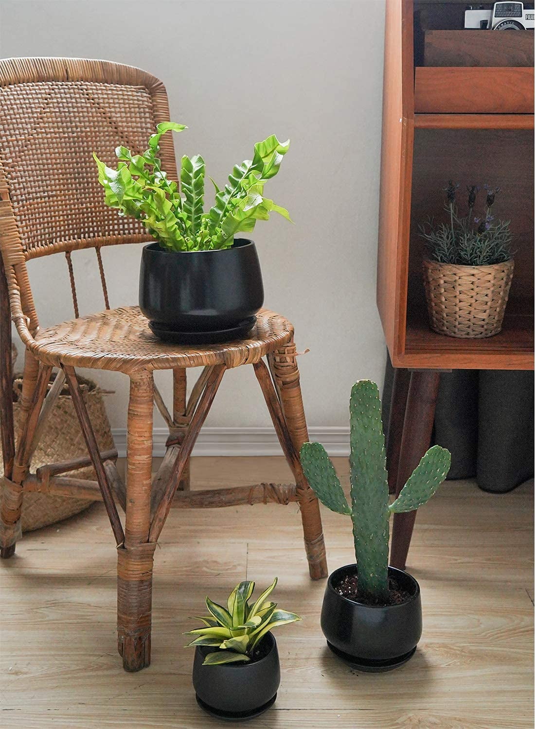 BEMAY Set of 3 Ceramic Plant Pots with Drainage Holes and Saucers, Indoor & Outdoor Decorative Planters, Modern Greenery