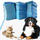 thumbnail image 1 of Dogcator Empapadores para Cachorros 120 unidades 76 x 91 cm XL súper absorbentes, 1 of 7