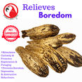 thumbnail image 4 of Bonka Bird Toys 2449 Pk6 Mahogany Pods Foot Talon Craft Part Parrot Chew Treat, 4 of 6