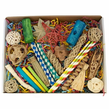 Super Bird Creations SB1237 Foraging Fun Box Bird Toys - Activity Kit with 30  Pieces Bird-Safe Toys - Enrichment Toys for Ringnecks, Medium Conures, Canary and Parrots - Ideal for Medium Bird Size