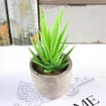 thumbnail image 1 of FENGGUIQU 2Ud Plantas Suculentas Artificiales De Plástico Para En Y Oficina, 1 of 8