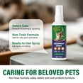 thumbnail image 6 of Cat-Repellent-Spray, Cat Deterrent Spray 100ml ， No Scratch Spray for Cats ， Citrus Spray for Cats & Dogs ， Furniture Protection ，Cat Pee Deterrent & Christmas Tree Spray Indoor & Outdoor Use., 6 of 8