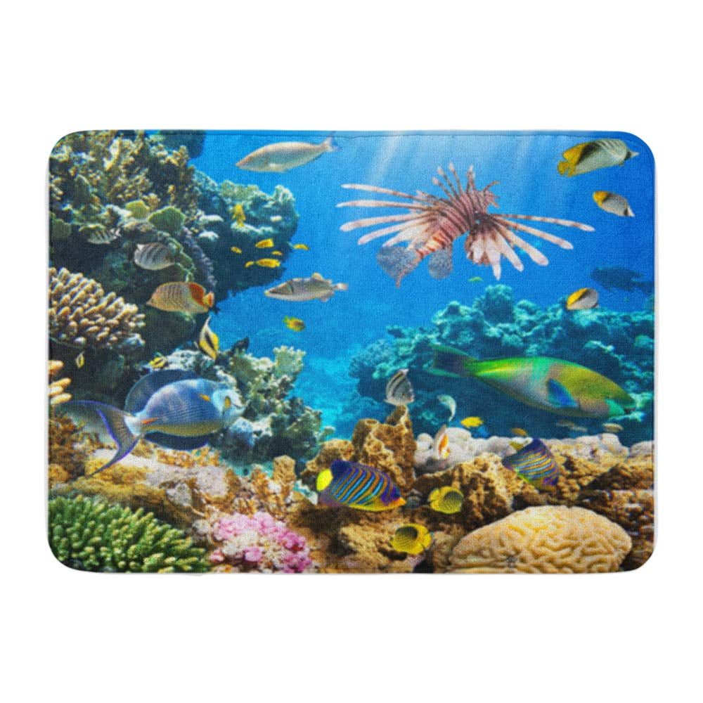 LADDKE Red Underwater of Tropical Fish on Coral Reef Blue Sea Doormat ...