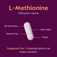 thumbnail image 6 of Bestvite L-Methionine 500mg (120 Vegetarian Capsules) - No Stearates - Vegan - Non GMO - Gluten Free, 6 of 7