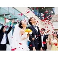 thumbnail image 5 of Silk Rose Petals for Wedding Party Decorations, Polyester Material Artificial Flower Petals, 1000pcs Red, Durable and Soft, Bright Color, No Fading, 5 of 5