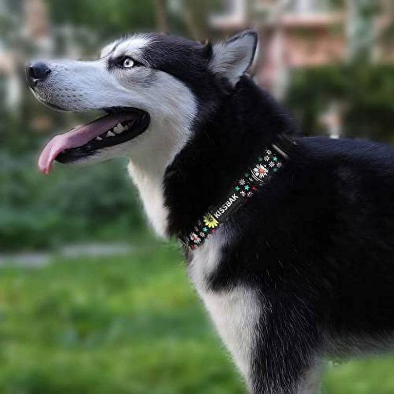KISSBAK Dog Collar for Small Dogs Special Design Cute Girl Dog Pet Collar Soft Adjustable Fancy Floral Girl Puppy Dog Collars XS White Daisy Walmart