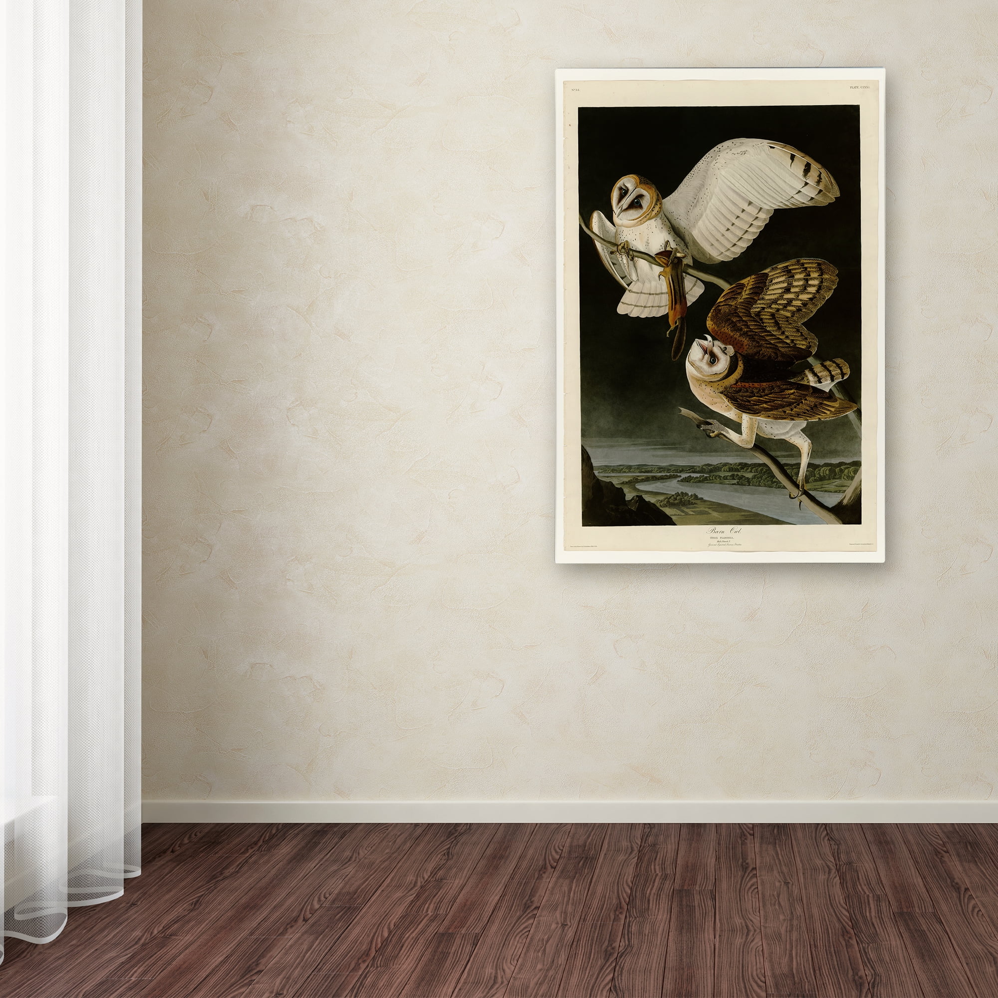 Trademark Fine Art 'Barn Owlplate 171' Canvas Art by Audubon