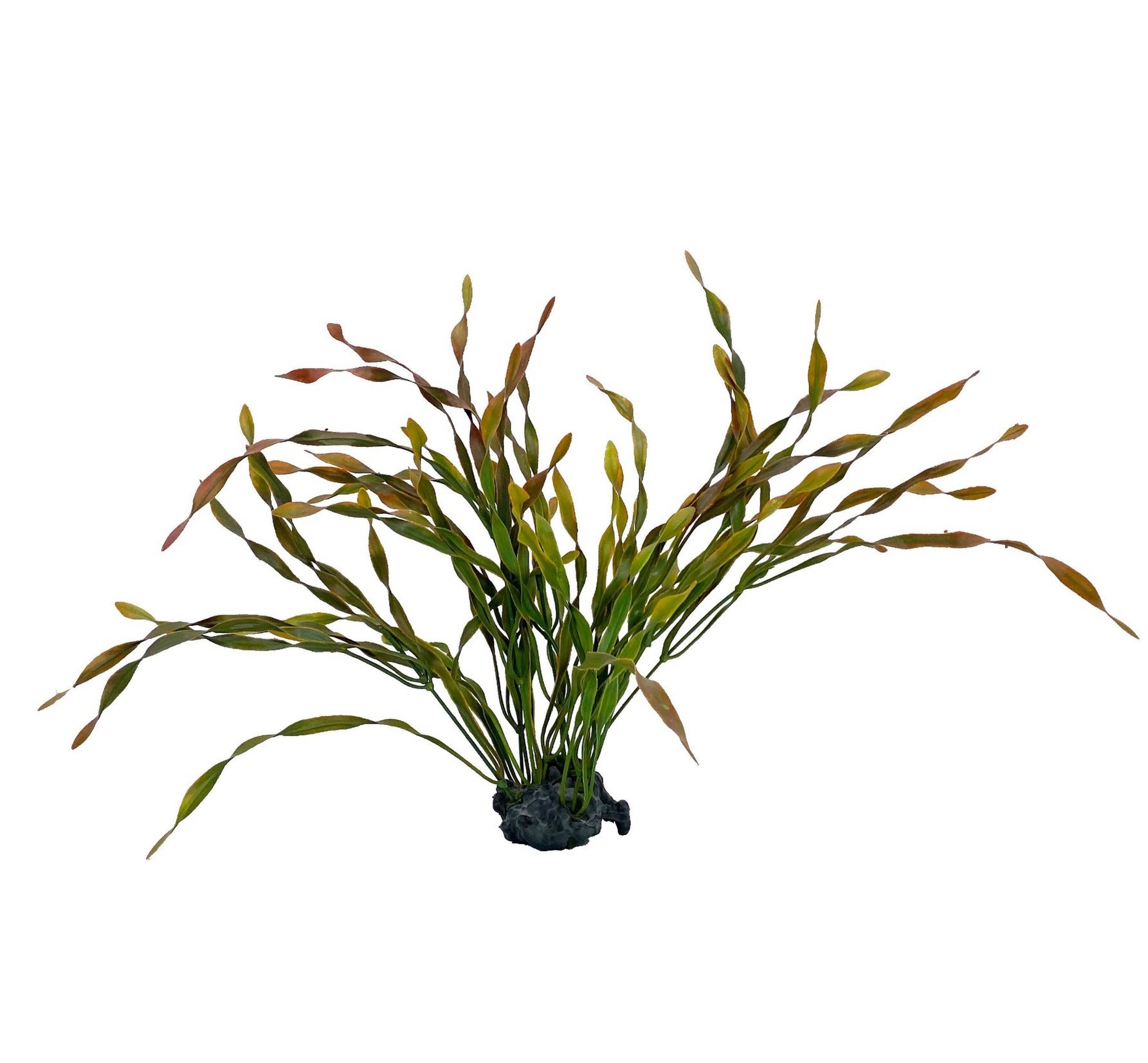 Realistic Plastic Aquatic Plants Weighted Base, LifeLike Movement