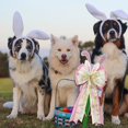 thumbnail image 3 of Adornos de cinta con lazos de Pascua Cintas con motivos de conejitos y huevos de primavera para coronas, fiestas y celebraciones festivas de Pascua, 3 of 6