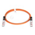 thumbnail image 1 of 9.8 ft. SFP Plus Active Optical Cable, 1 of 1