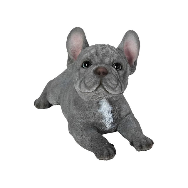Estatuine Hi-Line Gift Ltd., Bulldog francés acostado, poliresina, gris y azul