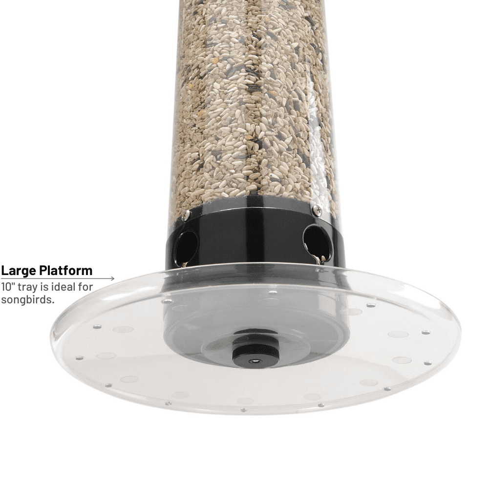 Droll Yankees Yankee Tipper Squirrel-Proof Cardinal Bird Feeder, Black