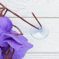 thumbnail image 3 of unbranded Rattan Y Artificiales Para Acuario Natural, 3 of 6