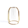 thumbnail image 2 of Desktop Glass Vase with Metal Frame，Modern Creative Hydroponics Vase Metal Flower Planter Plant Glass-Gold (9.4Inch), 2 of 7
