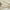 Beige, variant on Flowpartex Leaf Lace Sheer Curtains for Bedroom Beige Botanical Leaf Knitted Lace Curtain Rod Pocket Light Filtering Drapes,52" Wx84"L,2 Panels