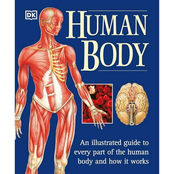 Pre-Owned The Human Body: An Illustrated Guide to Every Part of the Human Body and How It Works (Paperback) 0789479885 9780789479884