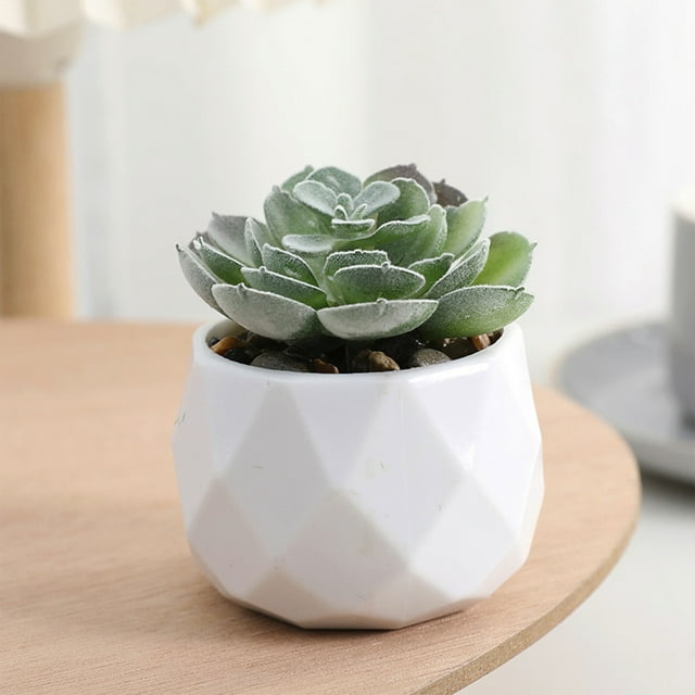 Mini suculentas artificiales Lisbinx en macetas de plástico | Plantas artificiales para decoración de hogar y oficina | Suculentas artificiales pequeñas de 10 cm | Decoración de escritorio par