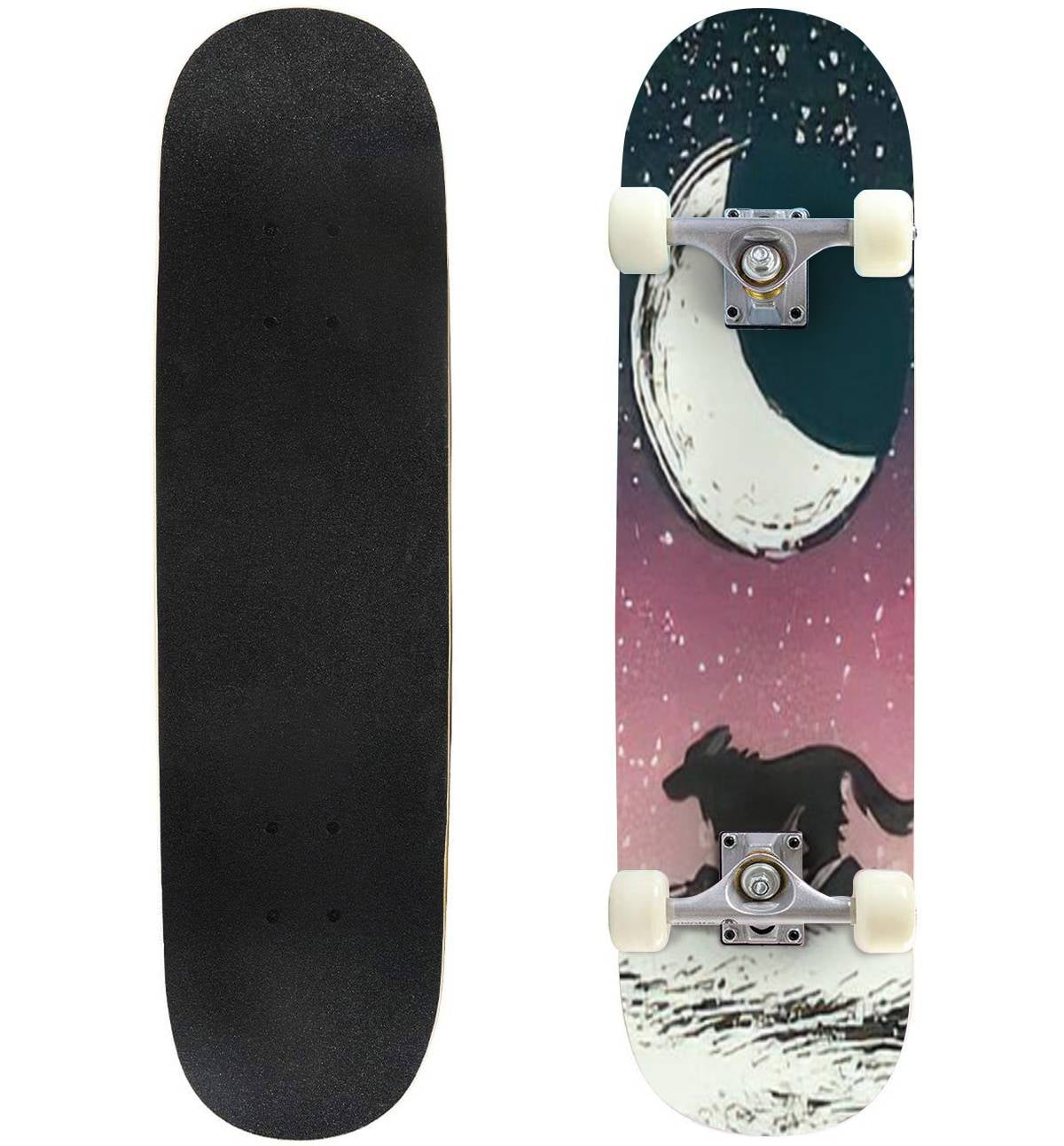 Silhouette of running wolf or dog On background big moon and starry