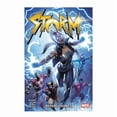 thumbnail image 1 of Storm panini marvel, 1 of 2