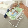 Fisher-Price Rock 'n Play Portable Bassinet