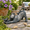 Cat With Bird, variant on Garden-statues Cats Kitten-couple Figurines Decor - Polysculpture For Outside Farmhouse Yard 8.9 * 8.3 10.9 Inch
