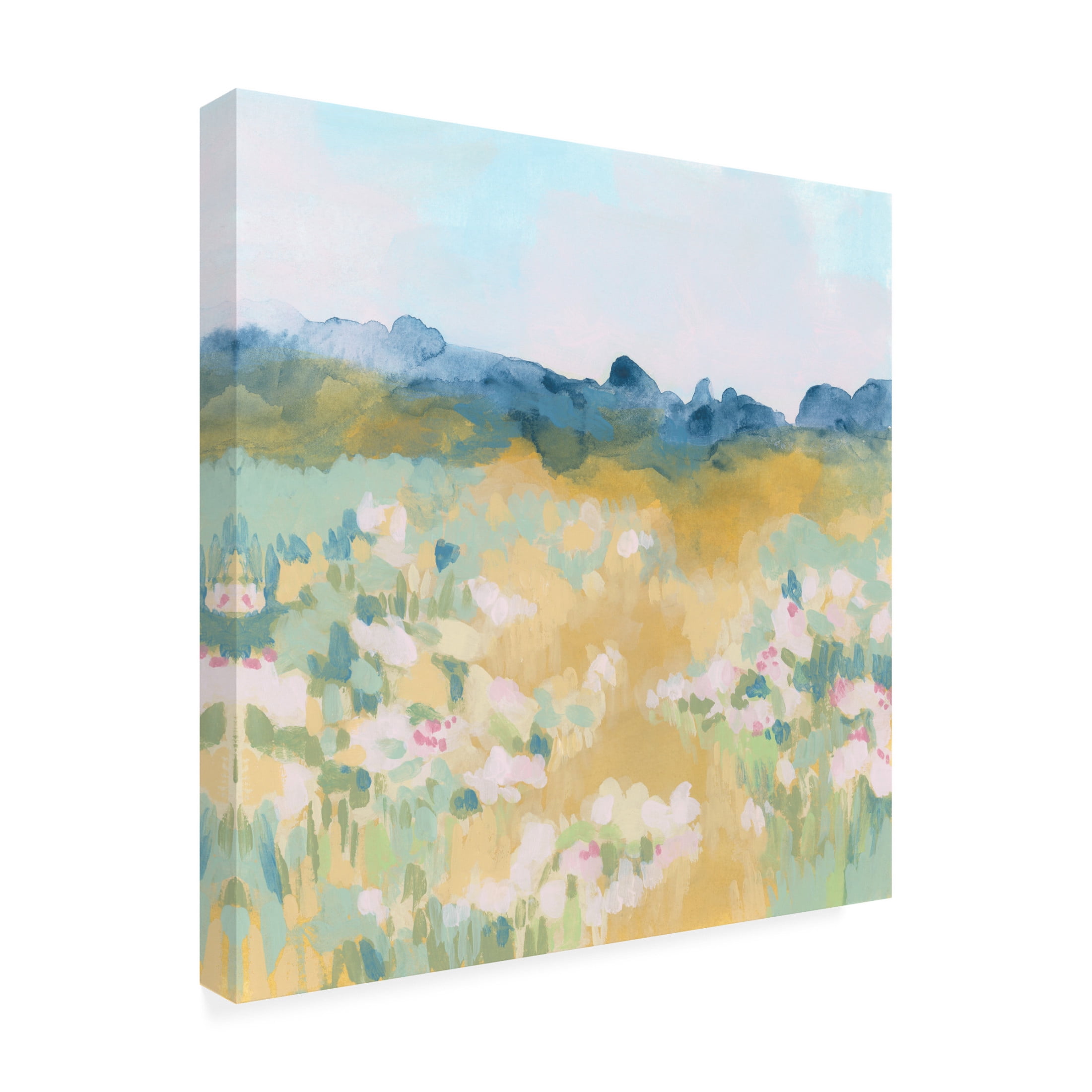 Trademark Fine Art June Erica Vess Ochre Flower Field I Canvas Wall Art
