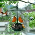 thumbnail image 6 of sruoe Bird Feeder, Hanging Bird Feeder Tray, Bird Feeders Outdoor, Cardinal Bird Feeder, Hopper Feeder, Small Large Bowl Wild Bird Feeders for Garden Decor, Iron, 6 of 6