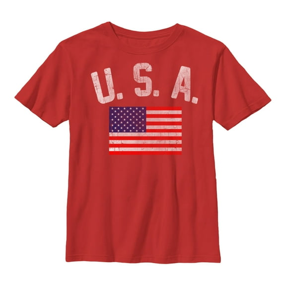 Boy's Lost Gods USA Classic Flag  Graphic Tee Red X Large