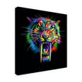 thumbnail image 2 of Trademark Fine Art 'Sabretooth' Canvas Art by Bob Weer, 2 of 3